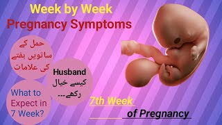 7 week of Pregnancy  Pregnancy week by week  What to Expect in 7th week raniababer [upl. by Anuahsar]