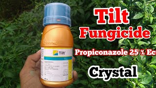 Propiconazole 25 Ec  Tilt Fungicide  Crystal Crop Protection [upl. by Rednasela]