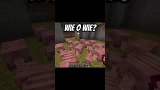 2 vrijwilligers minecraft wouterswereld [upl. by Gnat996]