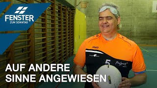 Beim Torball ist meine Sehbehinderung kein Handycap Pietro Londino [upl. by Hedges318]