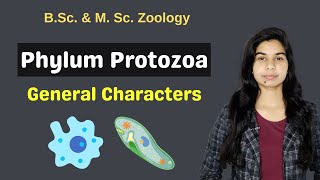 Phylum Protozoa  General Characters  B Sc  M Sc  Zoology [upl. by Scotty]