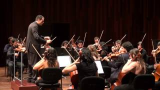 Beethoven 7th Symphony  2nd movement  Allegretto [upl. by Corder508]