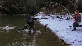 STEELHEAD FLY FISHING WINTER RUN SKEENA BC  CAPTAIN QUINN [upl. by Threlkeld]