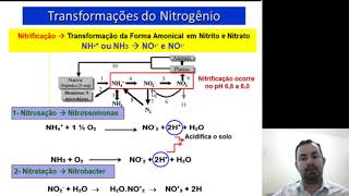 Ciclo do N Amonificaçào e Nitrificação [upl. by Vanthe]