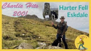 Lake District Walks  Harter Fell  Wainwrights Southern Fells [upl. by Costin]