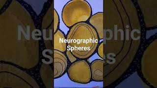 What is NEUROGRAPHIC ART See Link Below for full TUTORIAL [upl. by Lindo876]