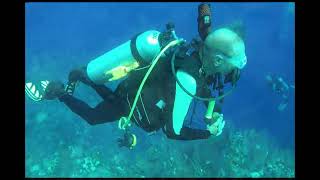 2023 little Cayman Dive Adventure [upl. by Deloria]