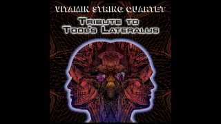 Ticks amp Leeches  Vitamin String Quartet Performs Tools Lateralus [upl. by Gideon739]