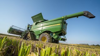 Trebbiatura Riso Carnaroli 🌾 John Deere S770i  La Fagiana [upl. by Mountford]