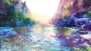 Tranquility Unveiled All 9 Solfeggio Frequencies Meditation Retreat [upl. by Ingamar513]