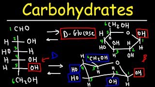 Carbohydrates  Haworth amp Fischer Projections With Chair Conformations [upl. by Acile]