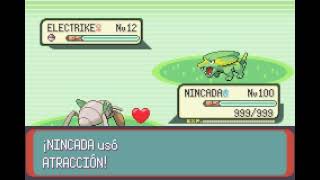 POKEMON EMERALD  NINCADA  ATRACCIÓN  ATTRACT [upl. by Airad]