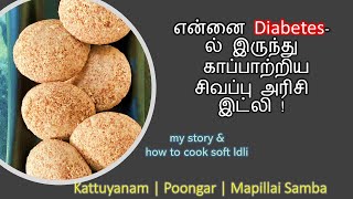 Red Rice SAVED me How to Cook Soft Idli  Kattuyanam  Poongar  Mapillai Samba Idly [upl. by Ellevehc]