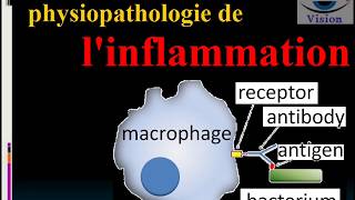 Inflammation Aiguë et Chronique Physiologie et Physiopathologie [upl. by Amar912]