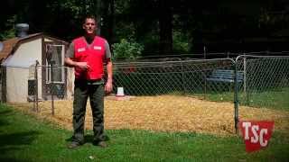 How to Prevent and Treat Coccidiosis in Chickens  Chicken Care  Tractor Supply Co [upl. by Tare]