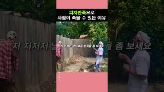 피자반죽으로 사람이 죽을 수 도 있습니다 [upl. by Nnaeed469]