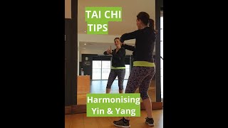 Tai Chi Tips  Easy Tai Chi for Beginners  Harmonising Yin amp Yang 2019 [upl. by Tompkins]