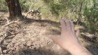 Building an MTB trail in the dust Part 1  Timelapse  Trail build [upl. by Ordnael387]