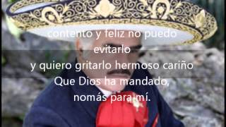 Hermoso cariño Vicente Fernandez con letra [upl. by Alaric654]