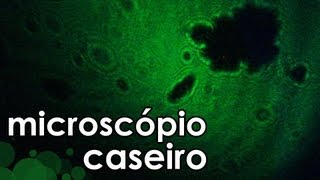 MICROSCÓPIO caseiro com laser EXPERIÊNCIA de FÍSICA e Biologia  Homemade microscope [upl. by Francesco]