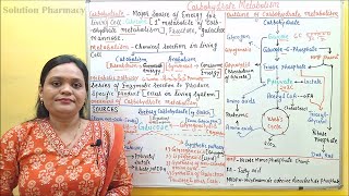 01 Introduction to Carbohydrate Metabolism  Metabolic Pathways of Carbohydrate  Biochemistry [upl. by Gide]