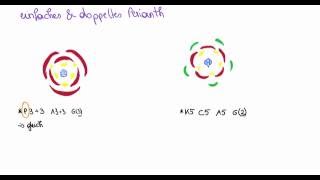 Die Blüte einfaches und doppeltes Perianth Blütenhülle [upl. by Drugi]