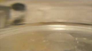 Methylene Chloride Dripping into Water [upl. by Jumbala]