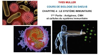 Chapitre 4  1ère Partie  Antigènes CMH et cellules du système immunitaire  Cours de Biologie [upl. by Arehc]