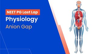 Physiology  Anion Gap [upl. by Pogue]