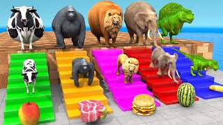 Cow Elephant Lion Gorilla TRex Choose the RIGHT Animal ESCAPE ROOM CHALLENGE Animal Cage Game [upl. by Gausman]