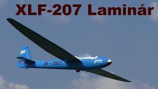 XLF207 Laminar Reichard Modelsport scale RC glider Letovicke vleky 2019 [upl. by Oretos838]