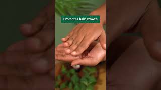 Ayurvedic Hair oil to Nourish Strengthen amp Shine hair ayurvedaorganichaircarehairgrowthproducts [upl. by Faubion278]