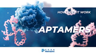 How Does It Work  Aptamers [upl. by Wallace873]