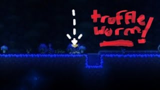 How to get Truffle Worms easily  Terraria [upl. by Dekeles]