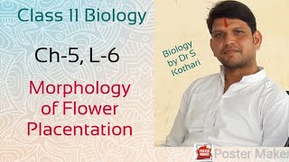 Placentation  Morphology of Flowering Plants  Ch5 L6  Class 11 Biology [upl. by Hallee]