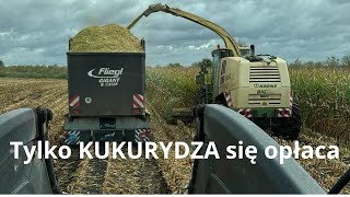 AKCJA KUKURYDZA NA DUŻĄ SKALE KRONE BIG X600 3 x VALTRA 2 x FENDT John Deere FLIEGL [upl. by Amersham]