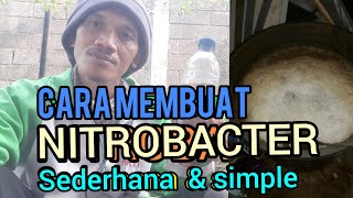 CARA MEMBUAT NITROBACTER MUDAH JADI DAN SIMPLE [upl. by Imojean791]