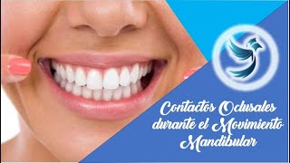 Contactos oclusales durante el Movimiento Mandibular 😊😀🦷 [upl. by Sankaran265]