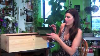 How to Green Your Home Part 3 Grow Seeds in a Wine Box [upl. by Adila781]