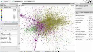 Gephi Modularity Tutorial [upl. by Oikim178]