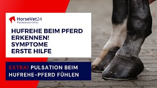 Hufrehe beim Pferd erkennen Symptome amp Erste Hilfe Erklärung Pulsation Hufrehe fühlen HorseVet24 [upl. by Heilner]