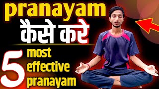 How To Do Pranayama।Pranayam kaise karen।सुबह सुबह 5 प्राणायम सभी को करने चाहिएं। [upl. by Drarehs]