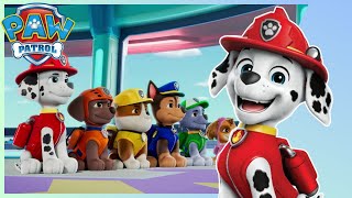 PAW Patrol  Season 11  The New Lookout Sequence [upl. by Tennaj]