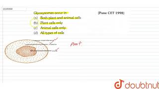 Glyoxysomes occur in [upl. by Hsihsa]