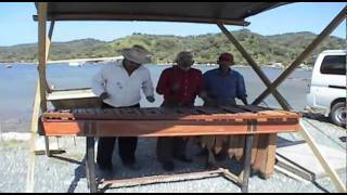 Roatan au Honduras Musicien Xylophone  Croisière caraibes [upl. by Ycnaffit994]