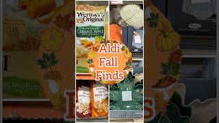 Aldi Fall Finds 🦉🍁🍂 [upl. by Kameko834]