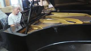 Fall in Love with a BLÜTHNER grand piano [upl. by Yentruocal]