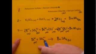 Simplified Writing of Net Ionic Ionic and Molecular Equation Level 1 Given Formulas [upl. by Thenna]