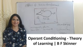 Operant Conditioning  Theory of Learning  B F Skinner [upl. by Issiah]