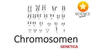 Chromosomen en terminologie uit genetica  genetica  erfelijkheid [upl. by Assed]